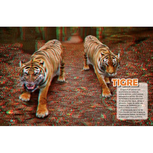 Cc Animais Selvagens com Oculos 3D