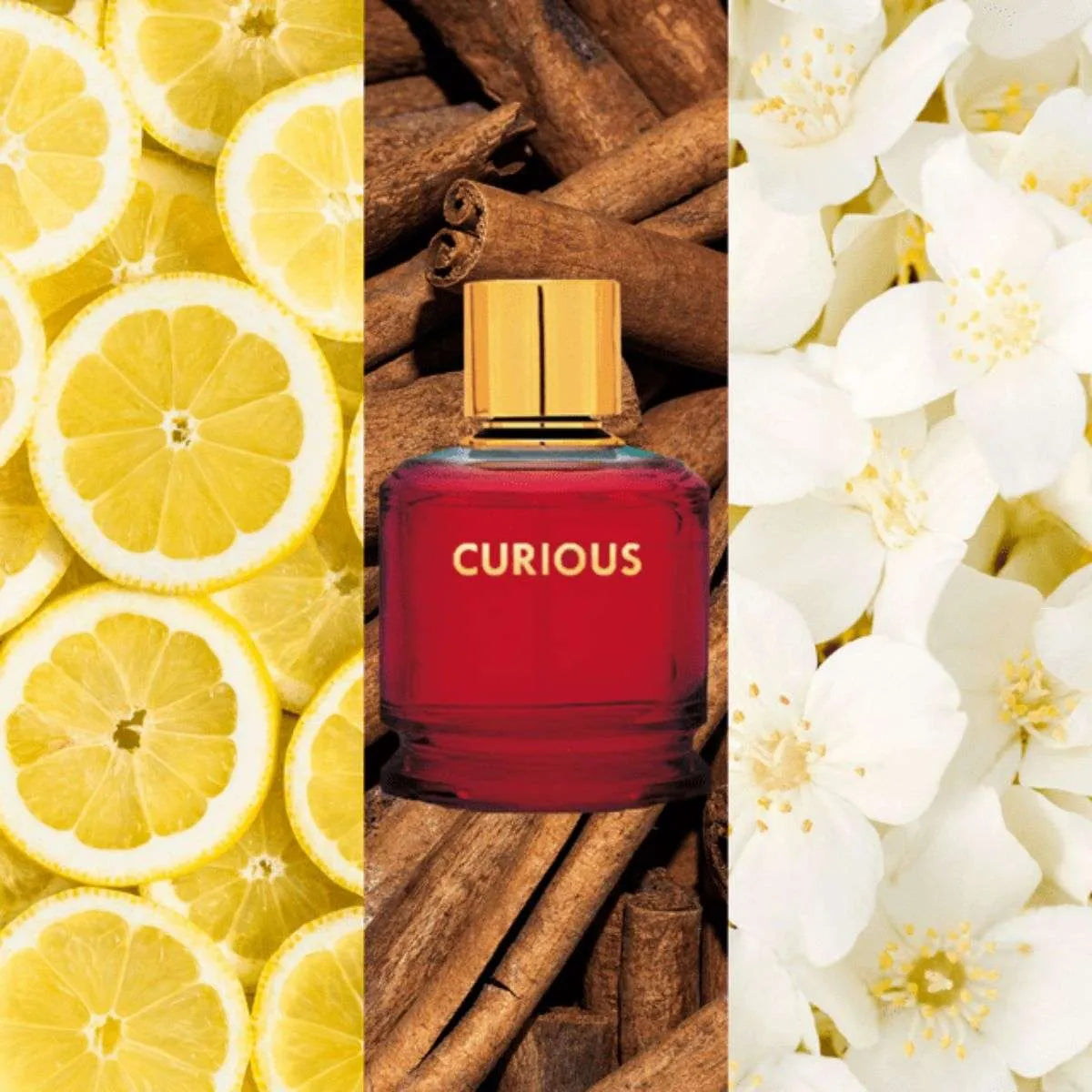 Galaxy Plus Concept Curious Feminino 100ML