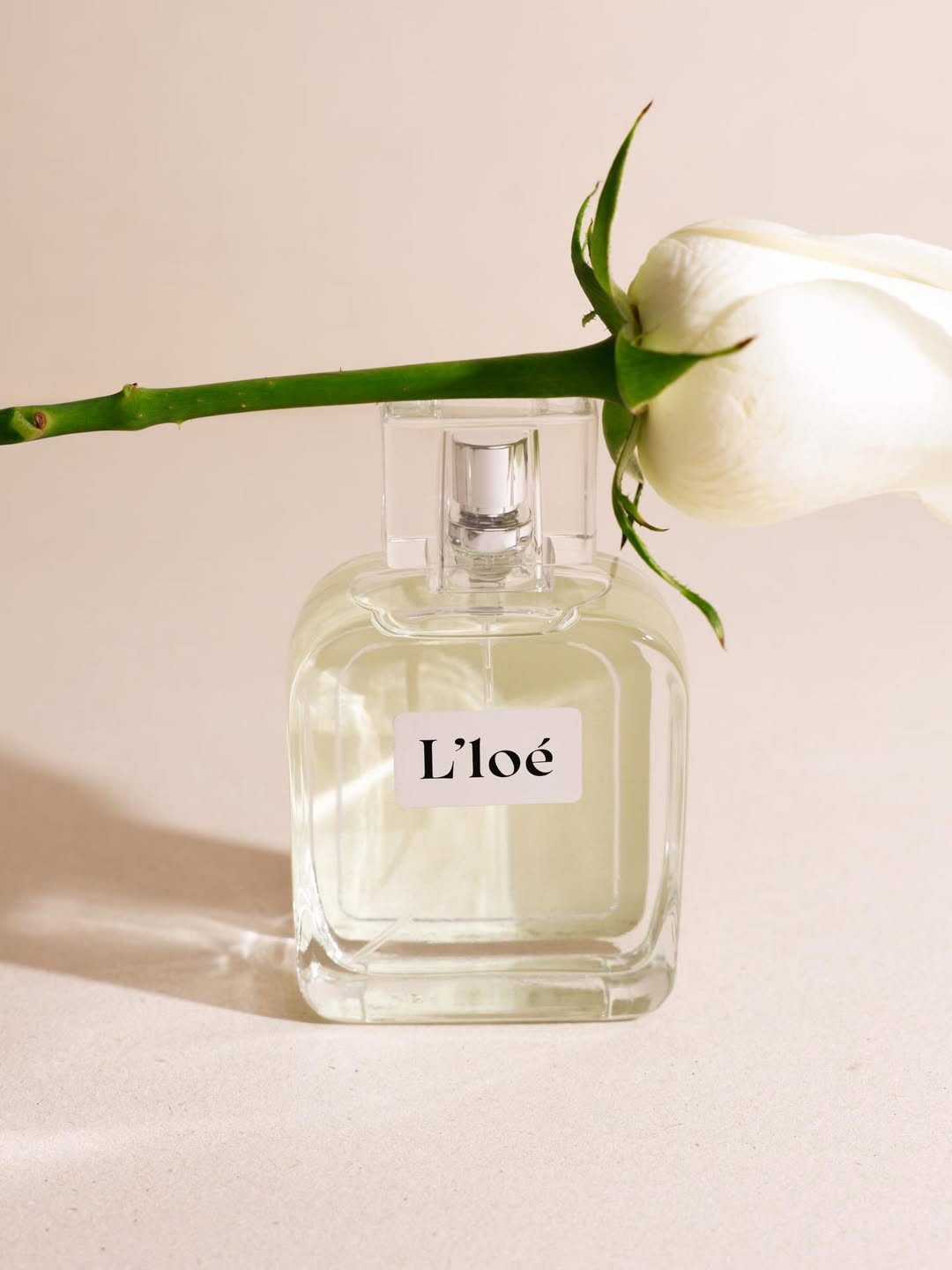 Giverny L'loé Feminino - Deo Colônia 100ML