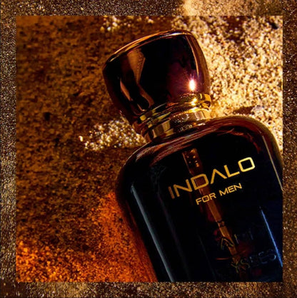 Paris Elysees Indalo Masculino 100ML