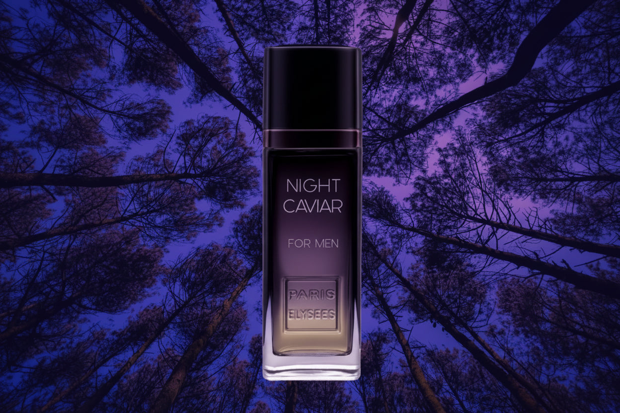 Paris Elysees Night Caviar For Men Masculino 100ML