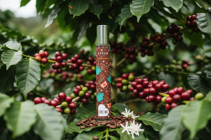 Ciclo LIKE ME Coffee Queen 30ML