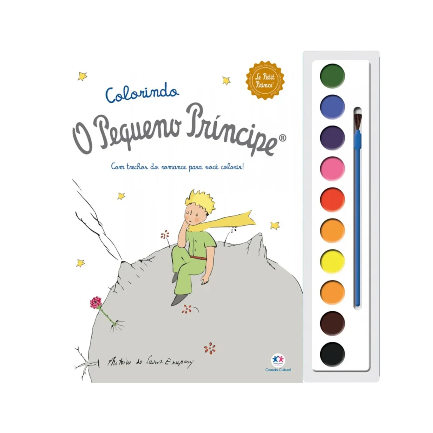 O PEQUENO PRINCIPE - CORES E AMIZADE